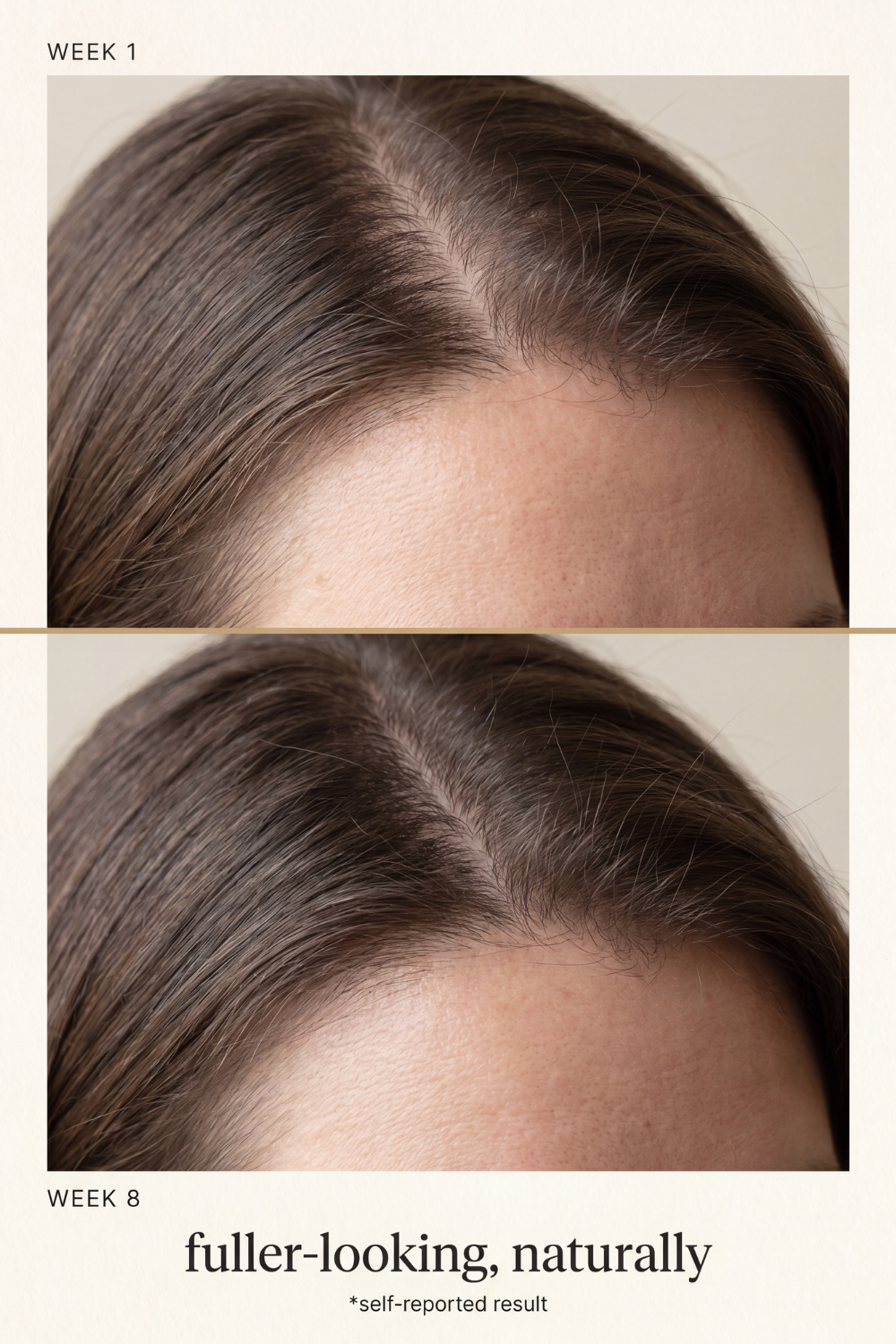 Korean Scalp Revival Bar